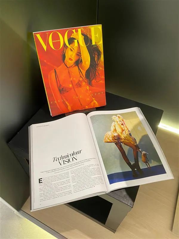 莱佛士学生作品登上《VOGUE》杂志.jpg